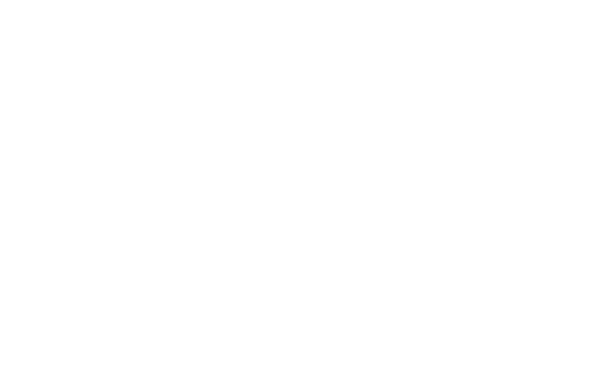 fsdwhite.png